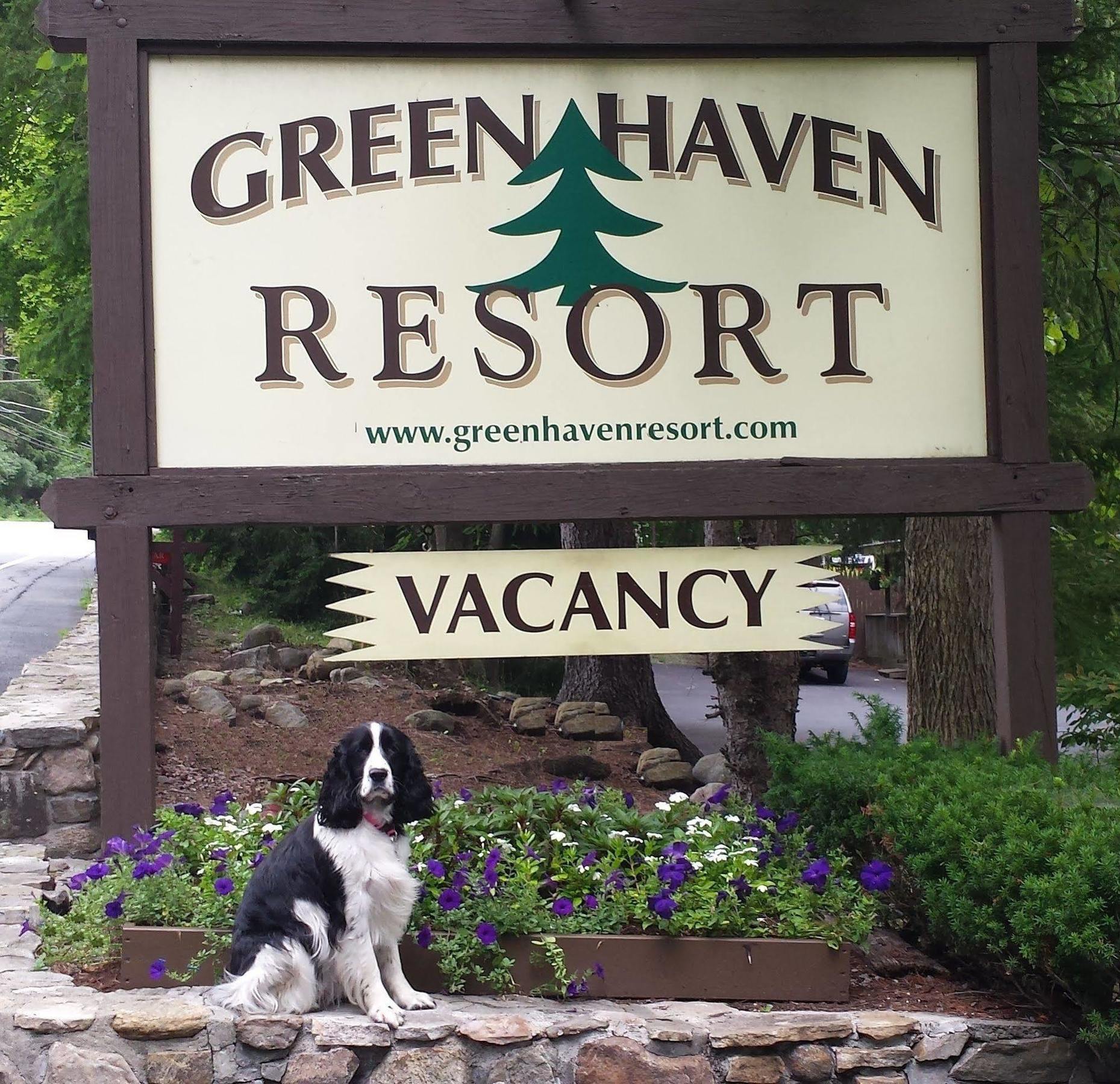 Green Haven Resort Lake George Exterior foto